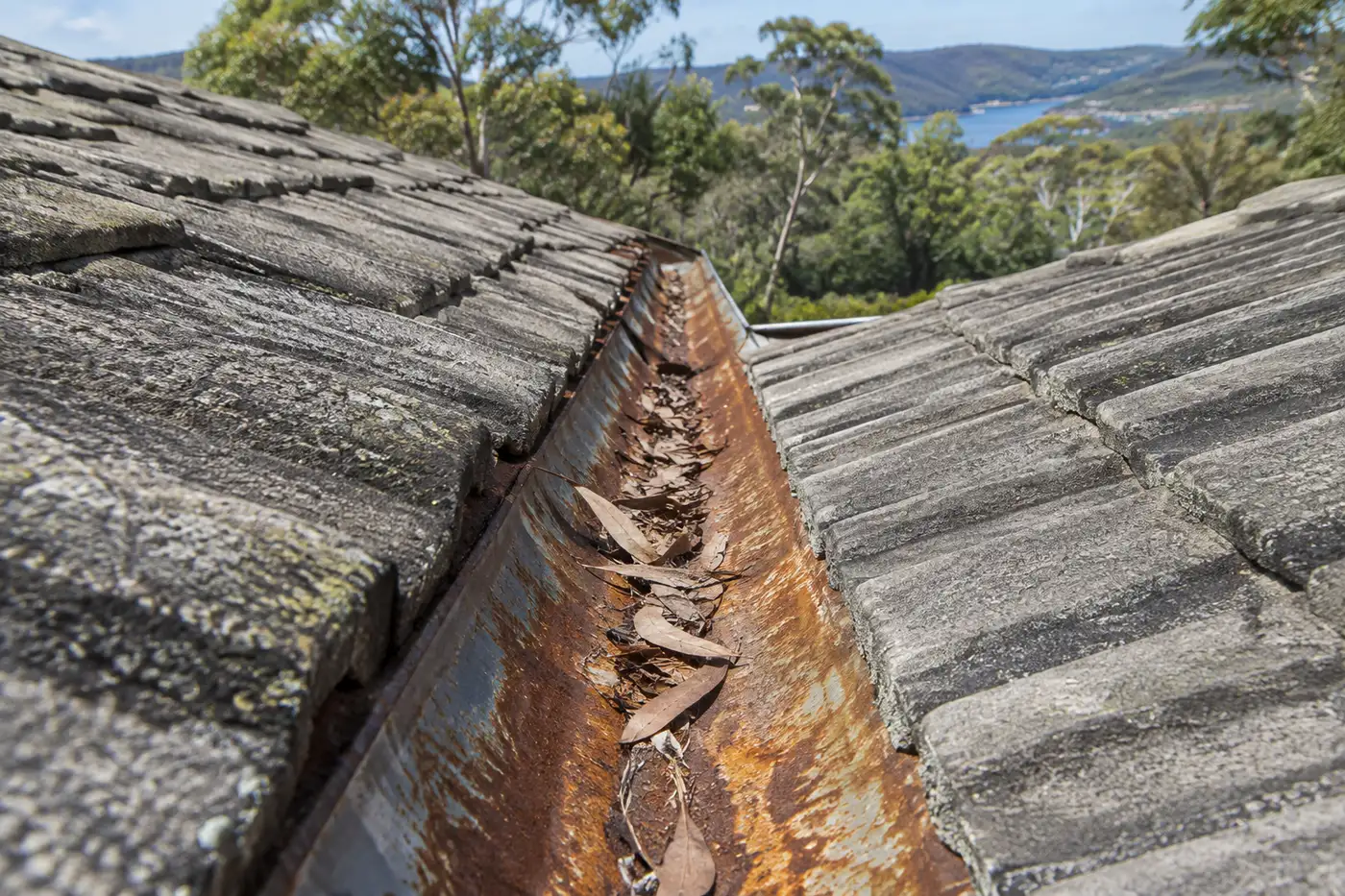 Rusted valley iron between two concrete tile roof slopes on a Central Coast home, with leaf litter caught in the channel