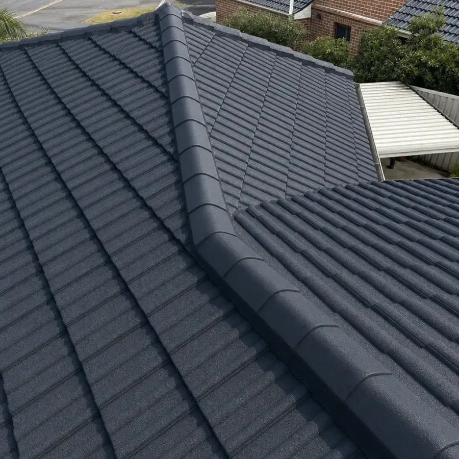Tile Roof Restoration in Terrigal โ after