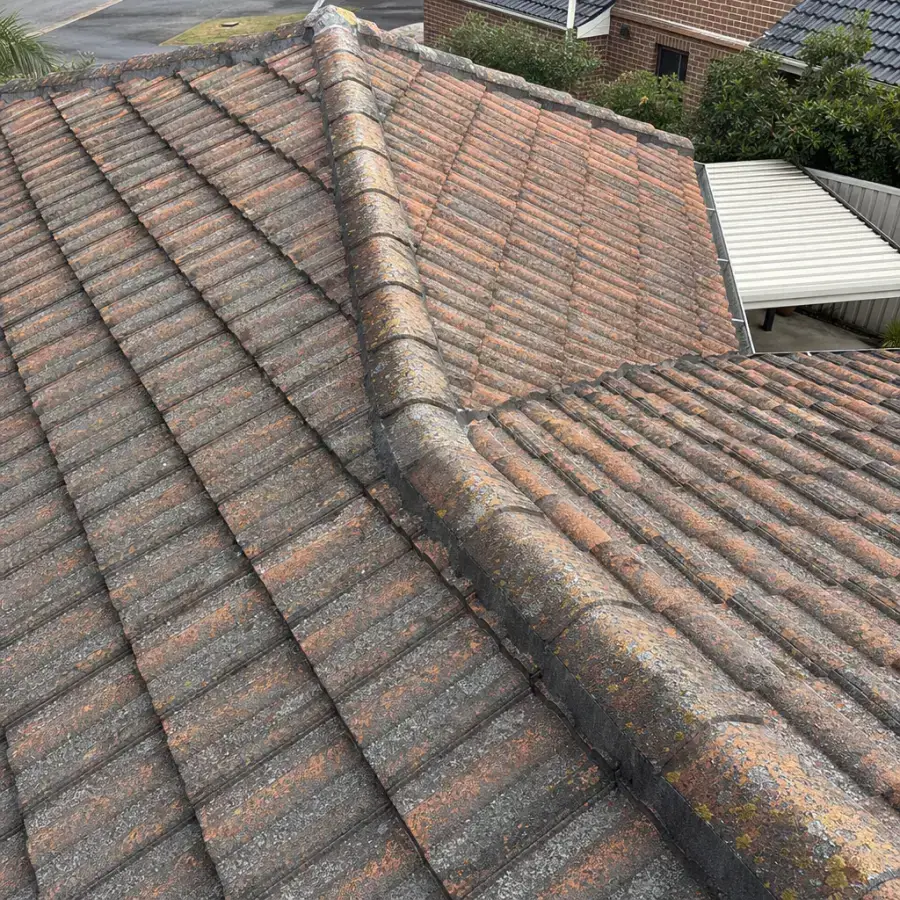 Tile Roof Restoration in Terrigal โ before
