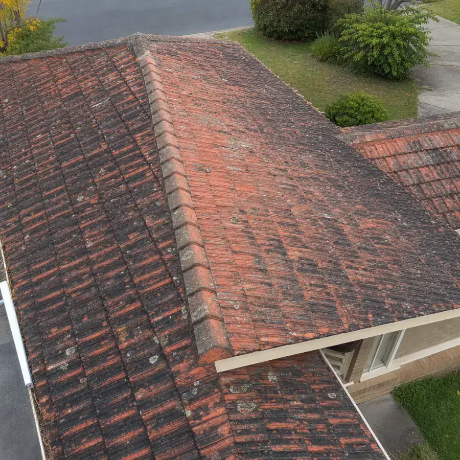 Terracotta Clean & Restore in Gosford โ before